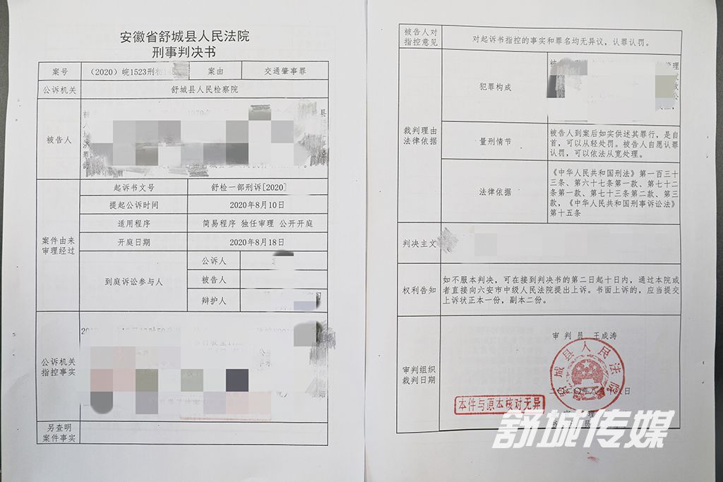 表格式判决书（已打码