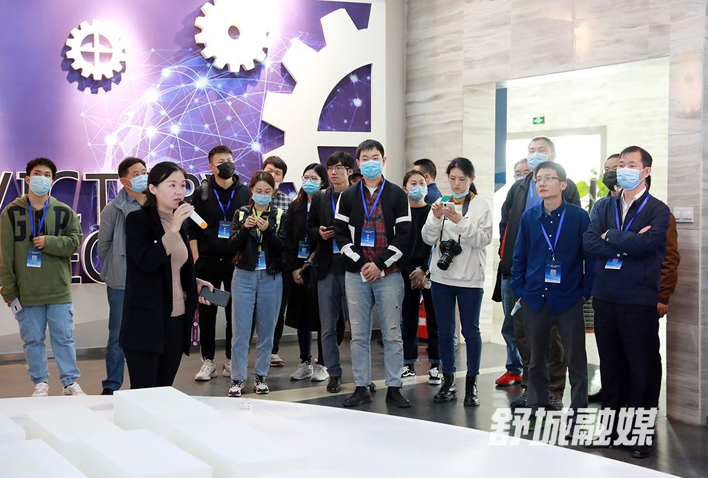 媒体来舒城采访落实“六稳六保 优化营商环境” 工作 (1).JPG