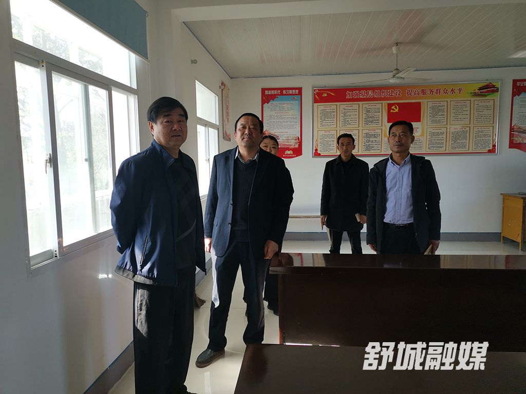 秦继永到桃溪镇党支部联系点开展调研指导工作