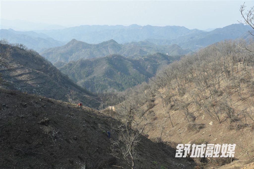 杰森公司橡栎产业基地.JPG