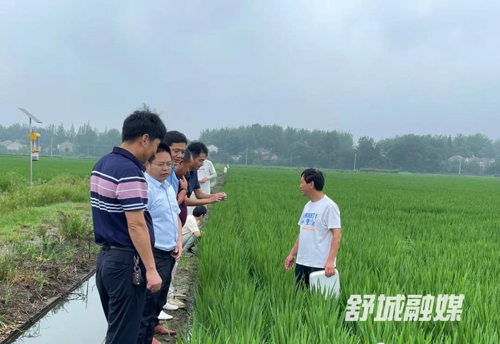微信图片_20210814171435