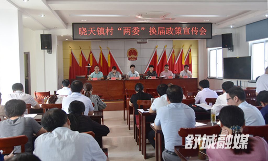 村两委换届工作宣传会.JPG