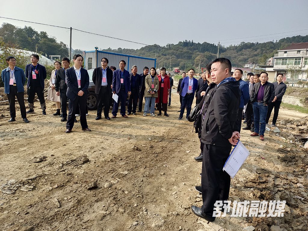 1.视察危桥改建、现代农业园建设、工匠广场建设项目