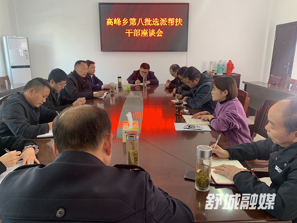 高峰乡召开第八批选派帮扶干部座谈会