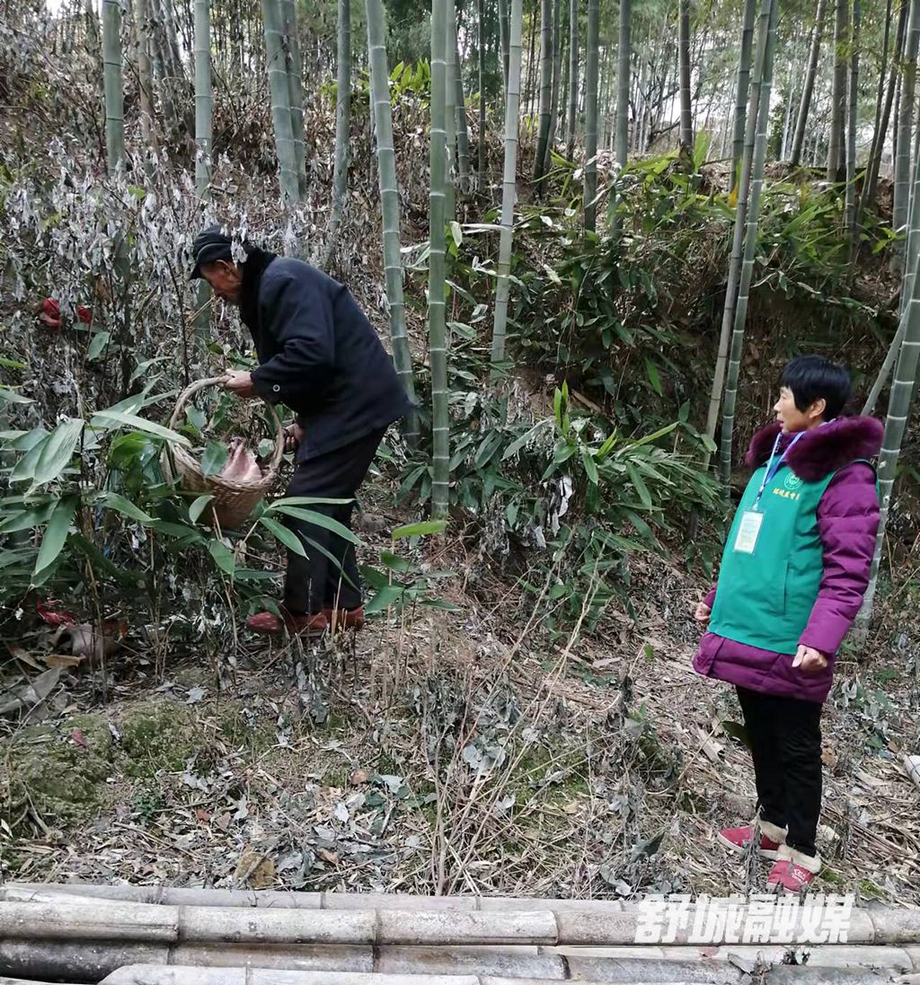 五显镇江冲村开展人居环境整治照片 1