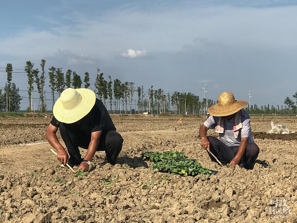 点击进入下一页