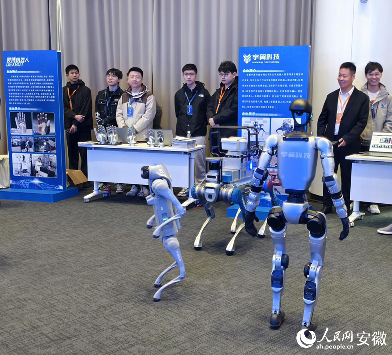 大会互动展区里各式智能机器人。人民网 陶伟摄